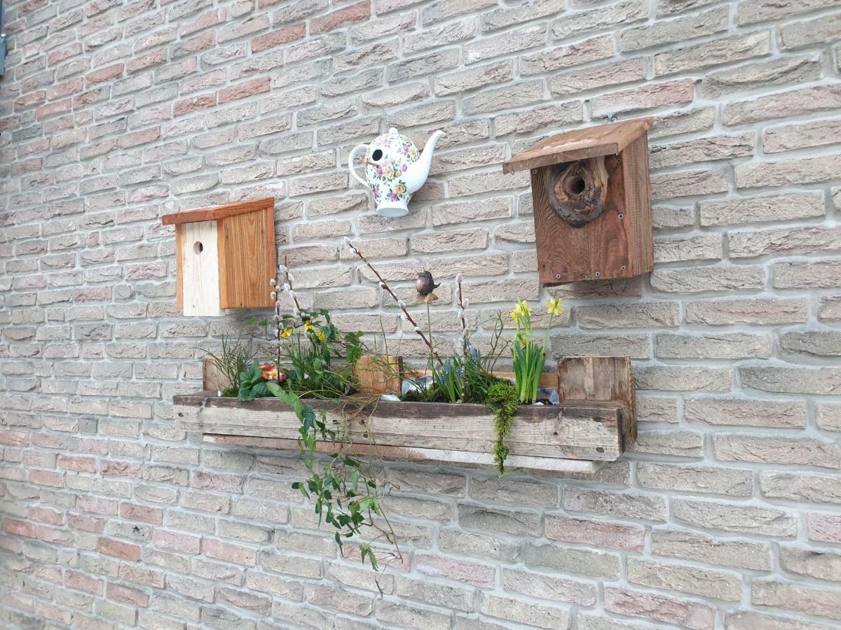 Ferienwohnung Vogelvilla Altenbeken Exterior photo